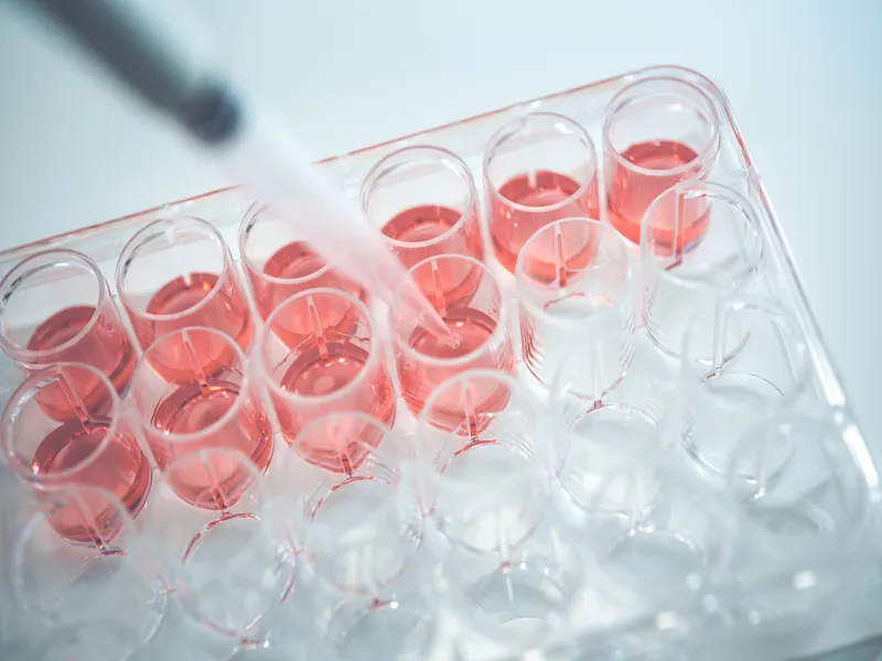 PRP皮膚再生療法