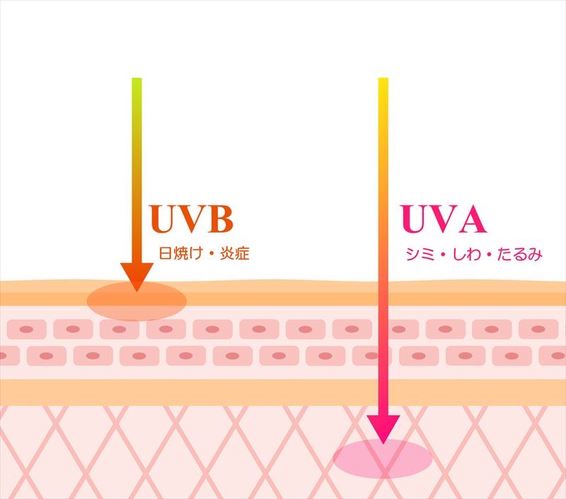 紫外線　UV　A波とB波