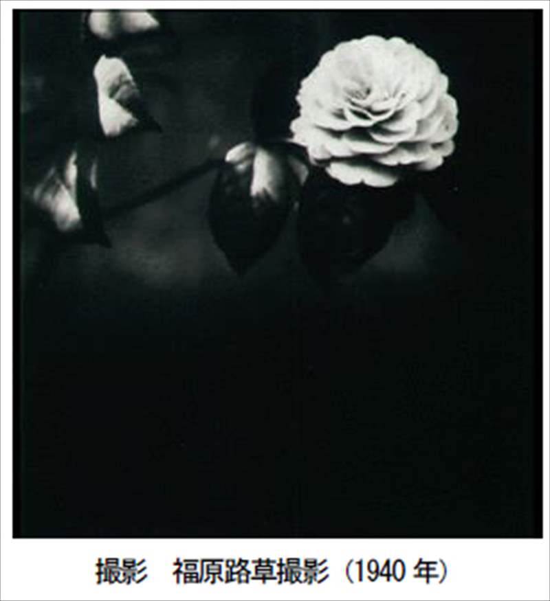 SHISEIDO エバーブルーム オードパルファム、ブランドコンセプトの福原路草撮影写真