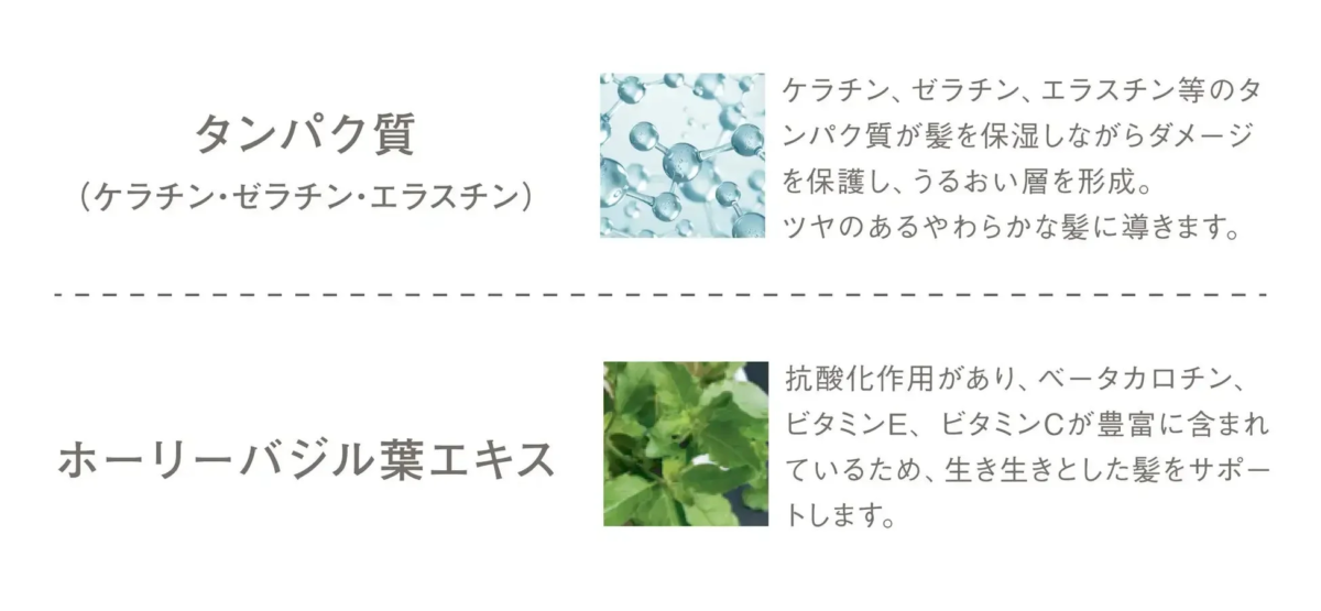 タンパク質と植物性由来の成分を含有