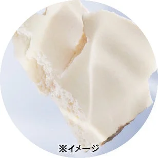 酒粕を想起させる白い塊