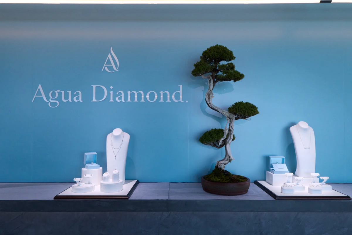 盆栽とジュエリーのディスプレイ