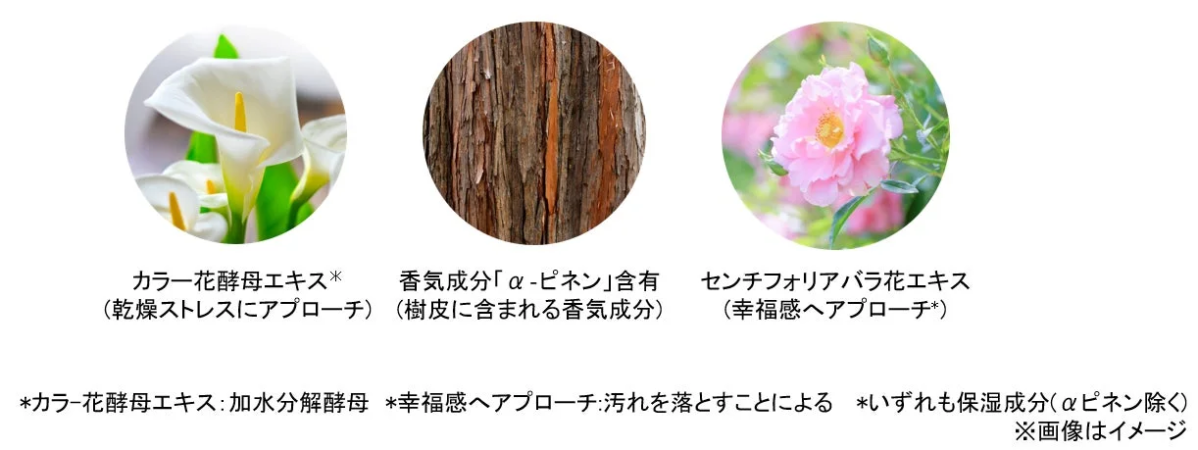 肌と心へ響くアプローチ