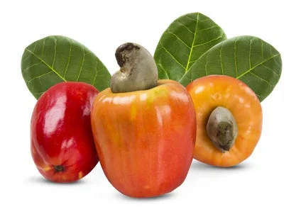 カシューナッツの果実