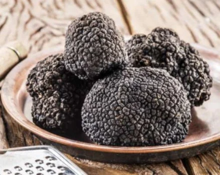 黒トリュフ