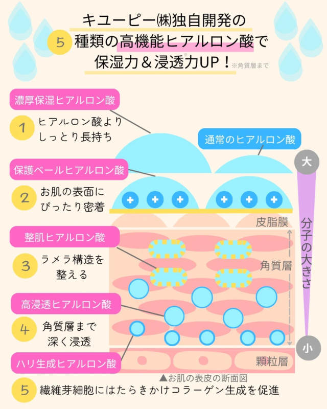 キユーピー独自開発の5種類の高機能ヒアルロン酸