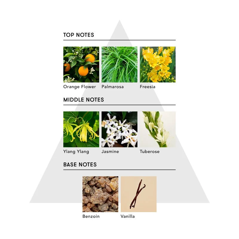 香水のトップ、ミドル、ベースノートを構成する様々な天然成分を、それぞれの植物や素材の写真と名前で説明