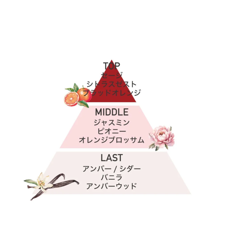 香りのピラミッド