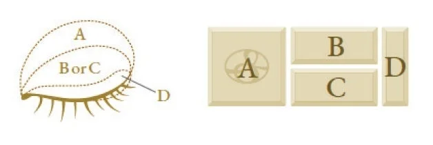 アイカラー使用法