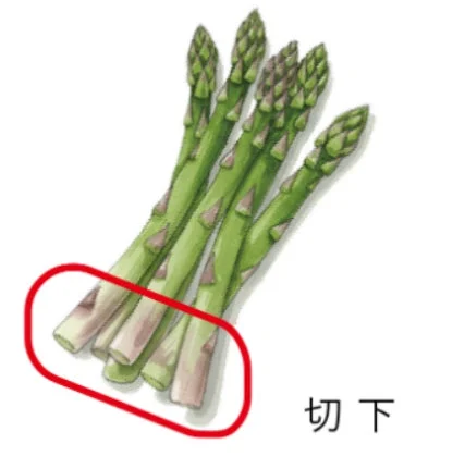 アスパラガス切下