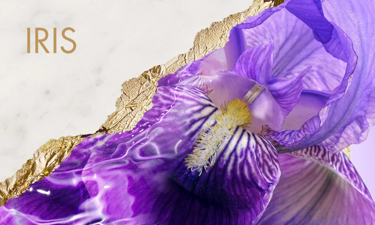 アイリス
