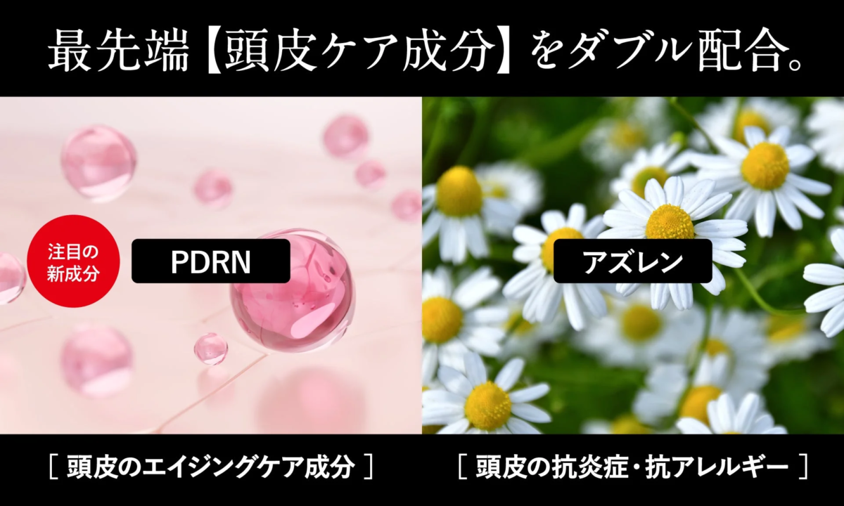 最先端の頭皮ケア成分PDRNとアズレン