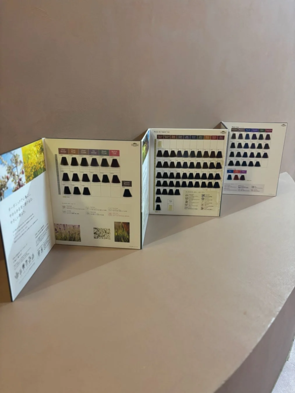 ヴィラロドラのヘアカラーチャート