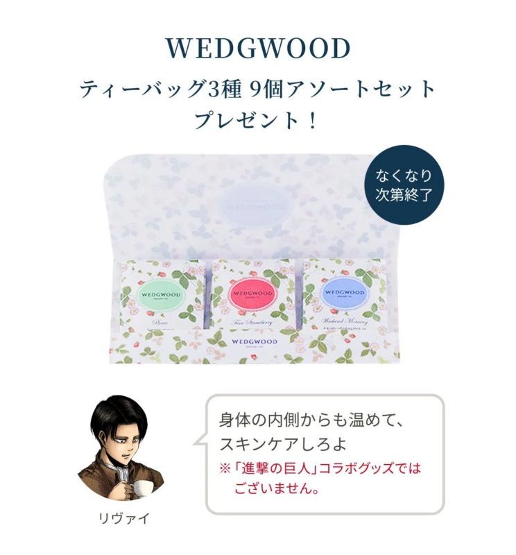 WEDGWOODティーバッグ3種9個アソートセット