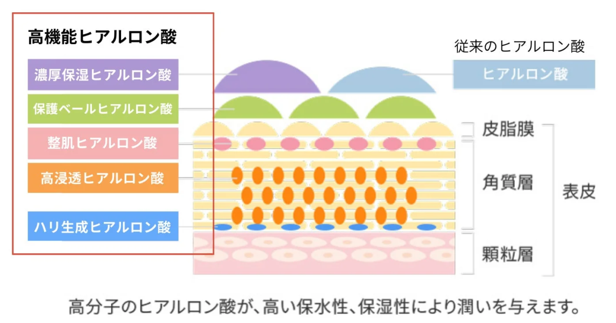 高機能ヒアルロン酸と従来のヒアルロン酸の比較