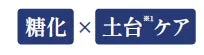 糖化と土台ケア
