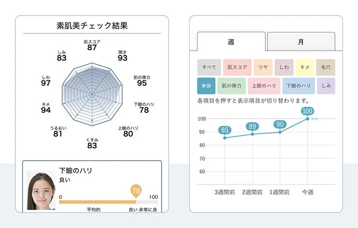 肌分析結果を示すレーダーチャート