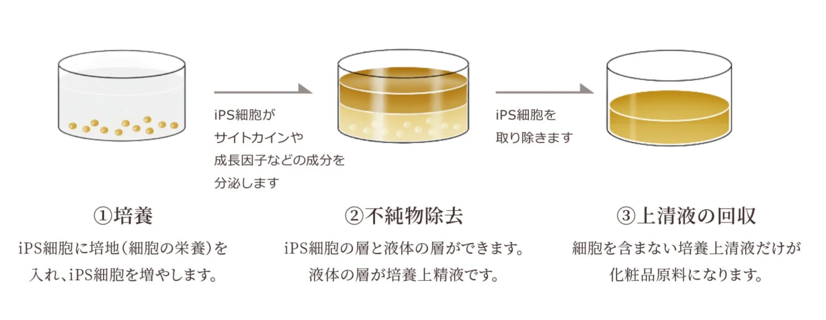iPS細胞培養上清液の生成プロセス