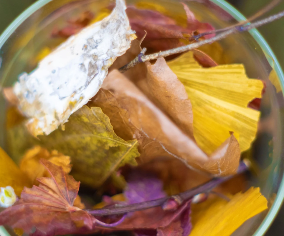 北海道の森で見つけた落ち葉などを乾燥させ、爽やかで落ち着きのあるホワイトティーの香りをまとわせたポプリ