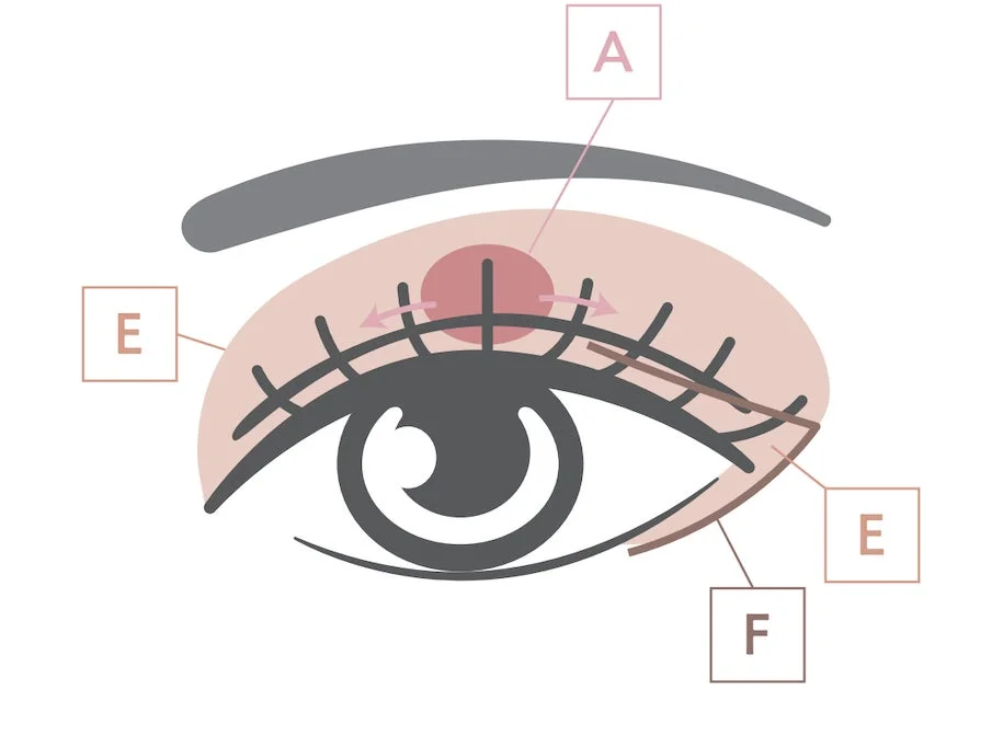 アイメイクHOW TO 図