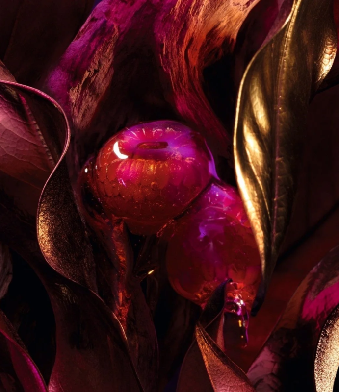 ラズベリーと葉のクローズアップ