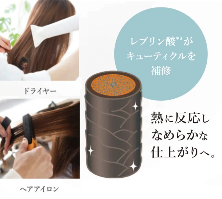 熱を利用した髪の補修メカニズム