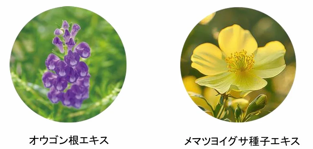 外的ストレスから肌を守る特長成分