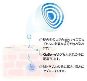 QuSome®浸透テクノロジーの図解