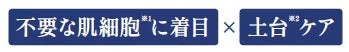 不要な肌細胞と土台ケア