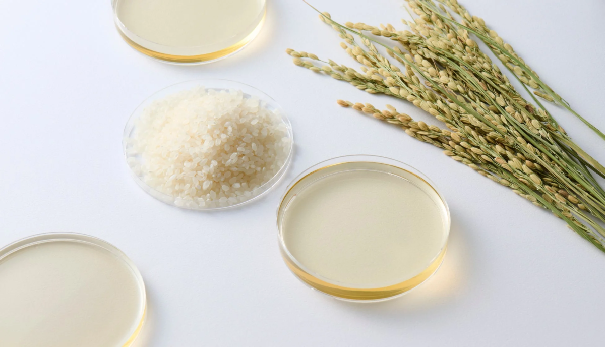 米と稲穂、液体