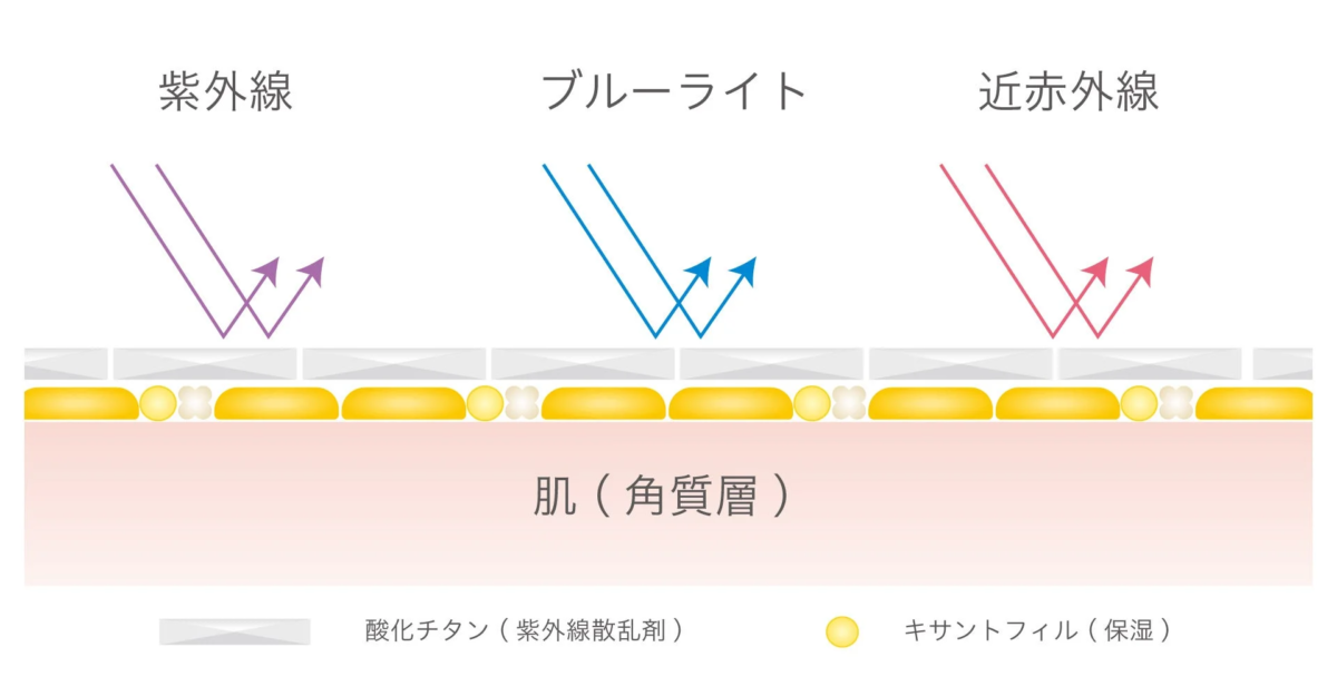 紫外線 ブルーライト 近赤外線 肌 (角質層) 酸化チタン (紫外線散乱剤) キサントフィル (保湿)