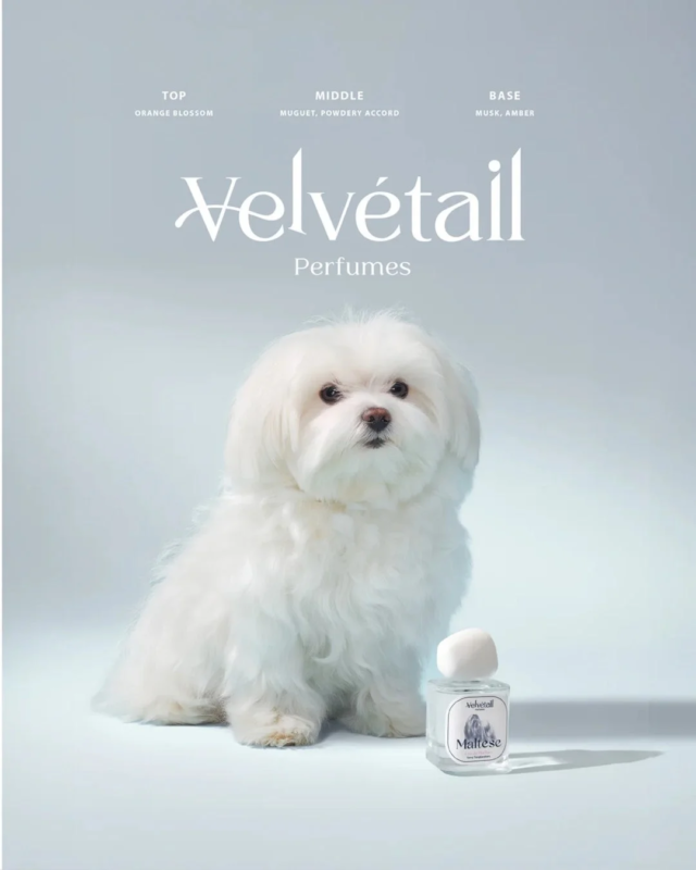 Velvétail Perfumes Maltese