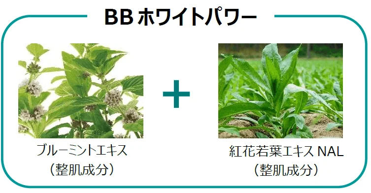 BBホワイトパワー成分