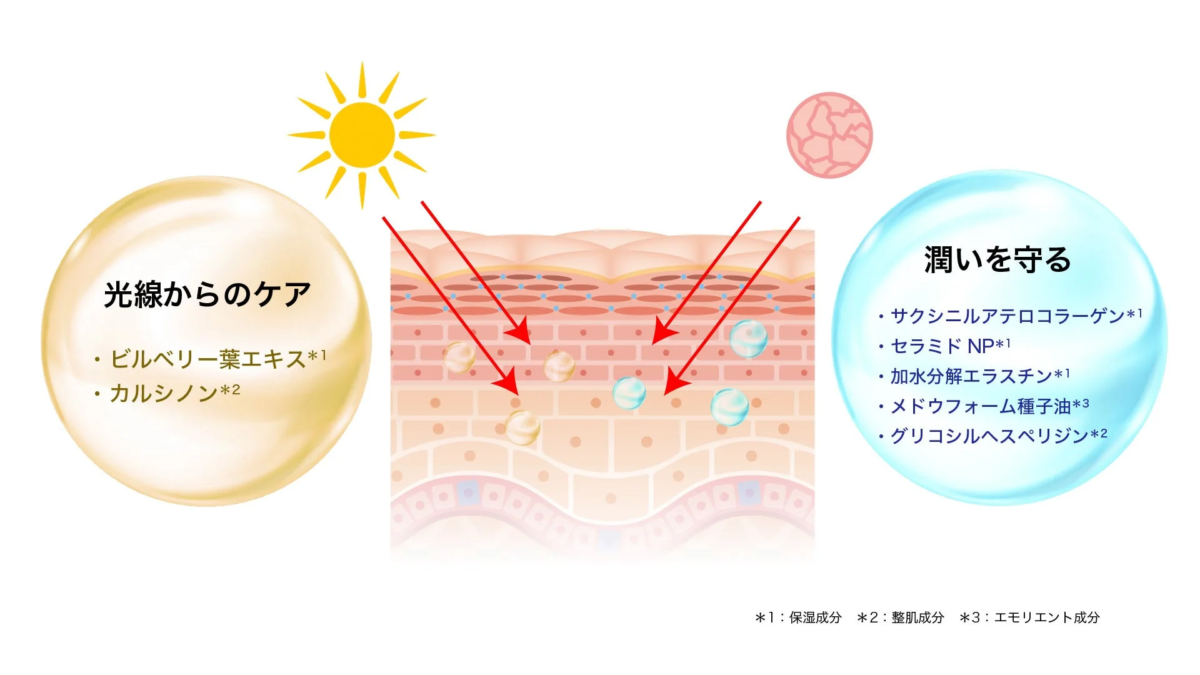 光線からのケアと潤いを守る成分