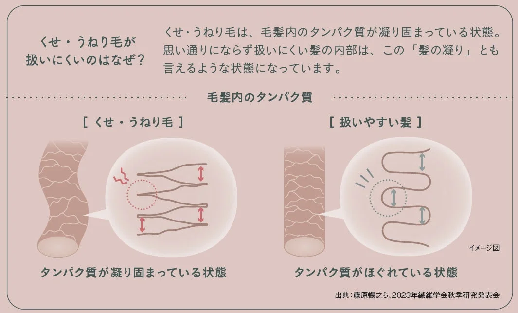 くせ・うねり毛の原因「髪の凝り」
