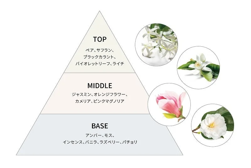 香りのピラミッド