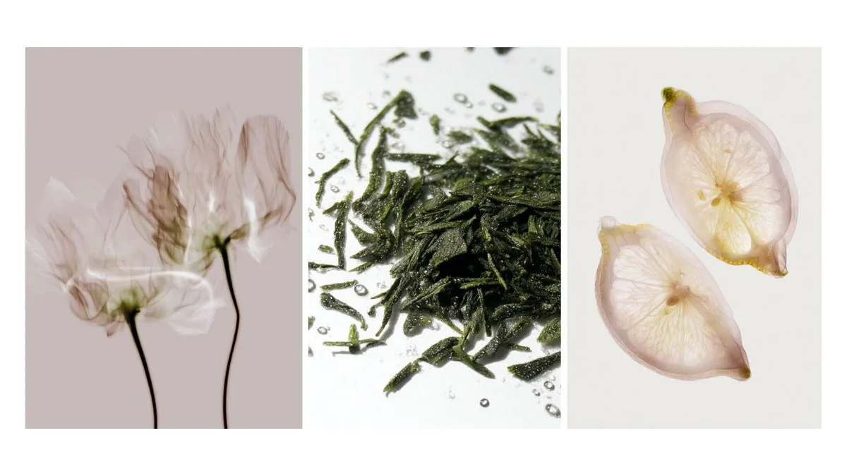 花、茶葉、レモン