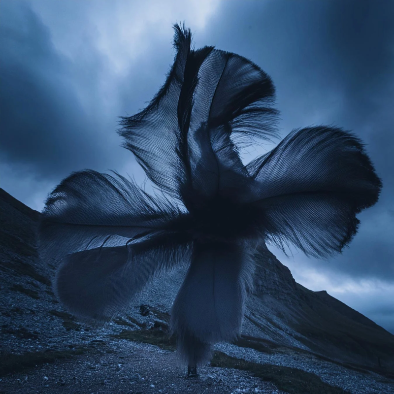 PRIN イメージ画像