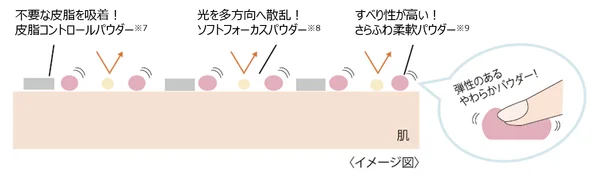 パウダー特徴3 (皮脂吸着)