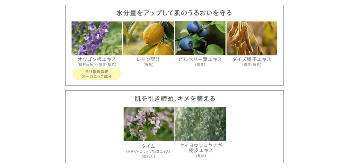 水分量をアップして肌のうるおいを守る オウゴン根エキス (肌荒れ防止・保湿・整肌) 自社農場栽培 オーガニック成分 レモン果汁 (整肌) ビルベリー葉エキス (保湿) ダイズ種子エキス (保湿・整肌) 肌を引き締め、キメを整える タイム (タチジャコウソウ花/葉エキス) (収れん) セイヨウシロヤナギ 樹皮エキス (整肌)