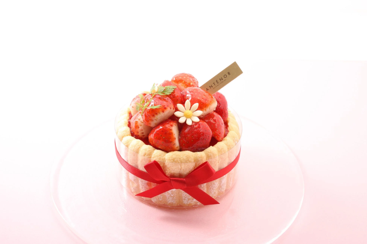 アンテノール 苺のシャルロット