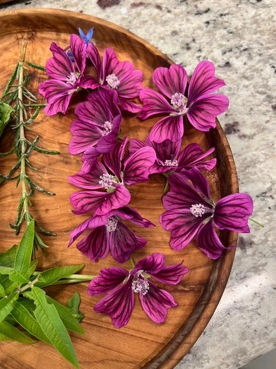 マロウブルーの花