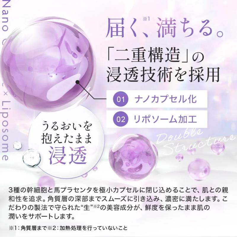 ナノリポソーム加工