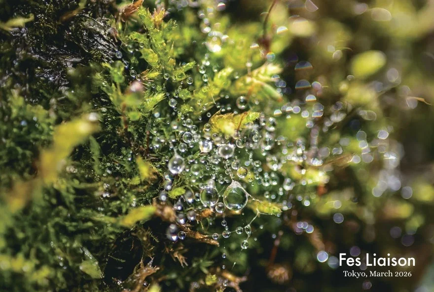 Fes Liaison Tokyo, March 2026