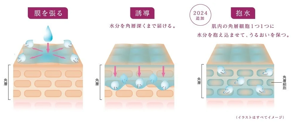 肌の保湿メカニズムを3つのステップで説明する図解