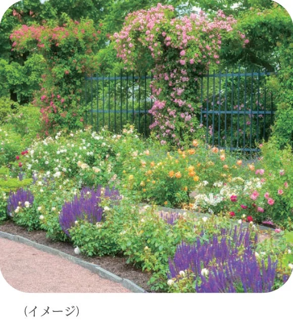 ハーバルガーデンのイメージ