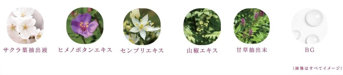 桜の葉、ヒメノボタン、センブリ、山椒、甘草の抽出液やエキス、BG