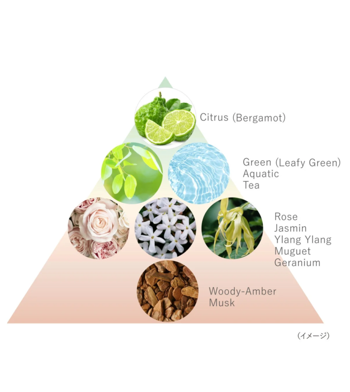 香りのピラミッド構造でフレグランスの香調を表現した画像