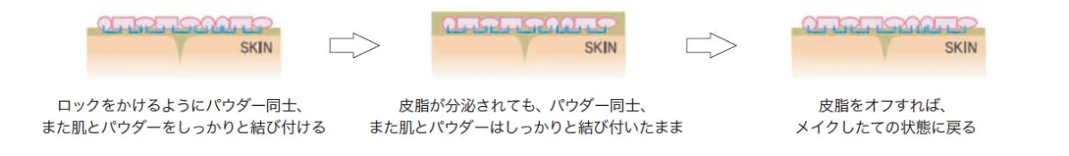 パウダーの密着メカニズム