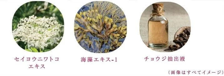 セイヨウニワトコエキス、海藻エキス、チョウジ抽出液の3種類の自然由来の成分